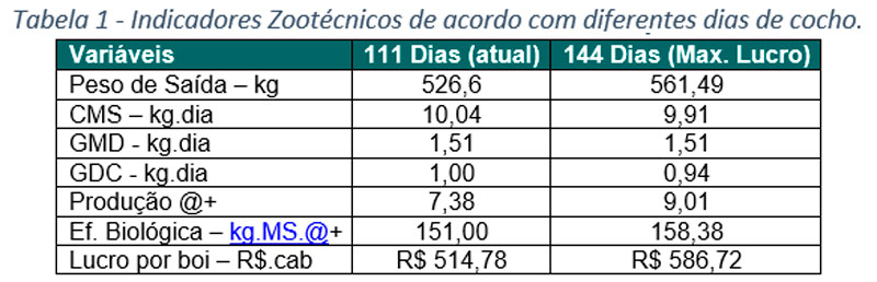 4m-gargill-graf-2