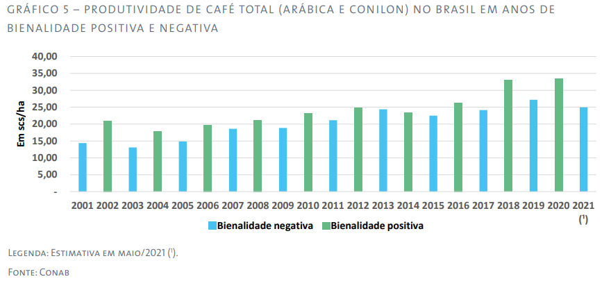 Produção de café conilon aumenta na safra 2018/2019