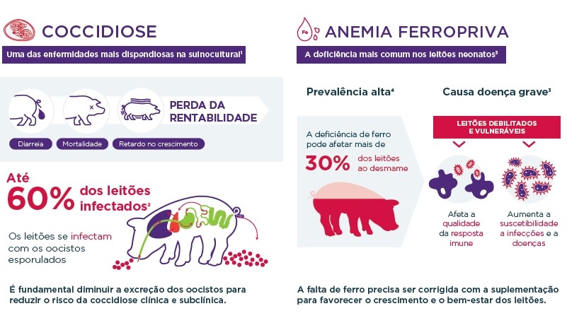 infograf-saude-leitoes