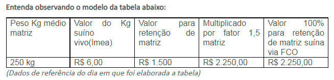 mato-grosso-retencao-de-femeas-suino-h0zui