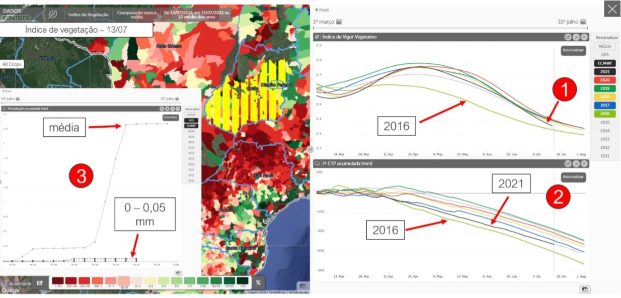 milho-colhieta-mapa-go