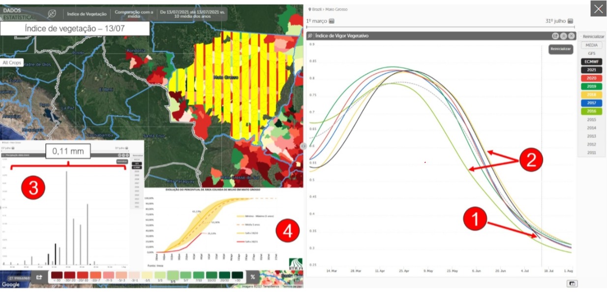 milho-colhieta-mapa-mt