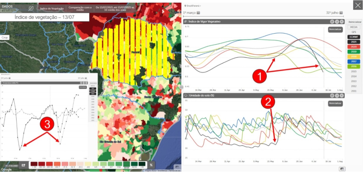 milho-colhieta-mapa-pr