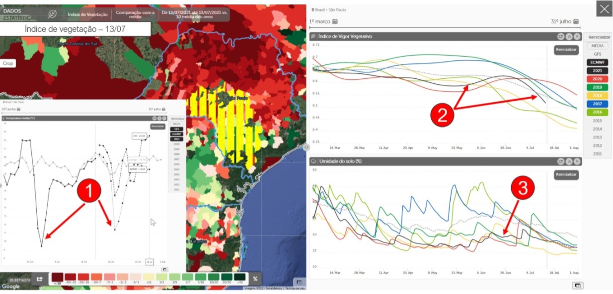 milho-colhieta-mapa-sp