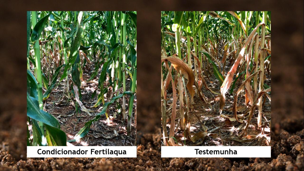 comparativo-fertilaqua