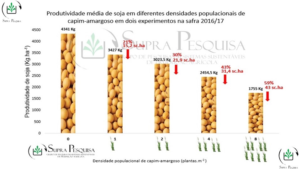 basf-publi