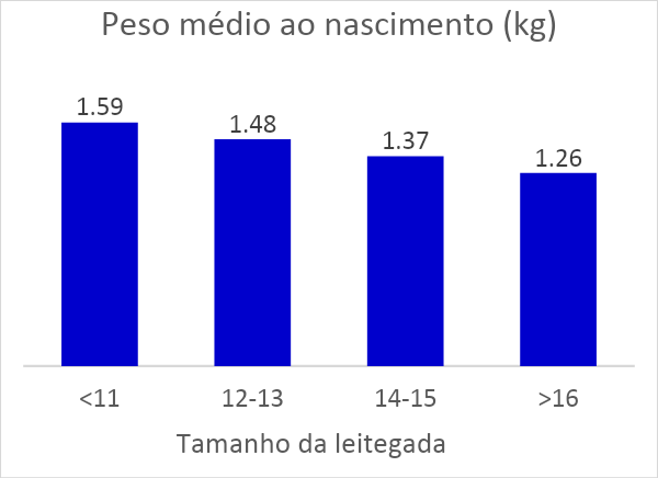 viabilidade-leitao-graf-3