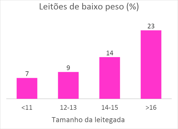 viabilidade-leitao-graf-4