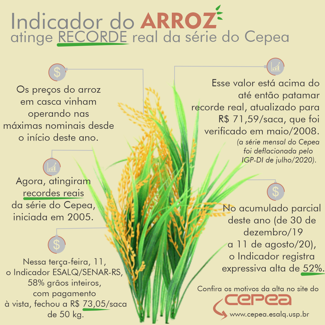infografico-arroz