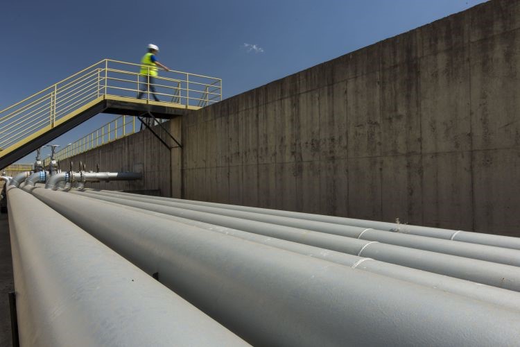 dutos-paulinea-copersucar