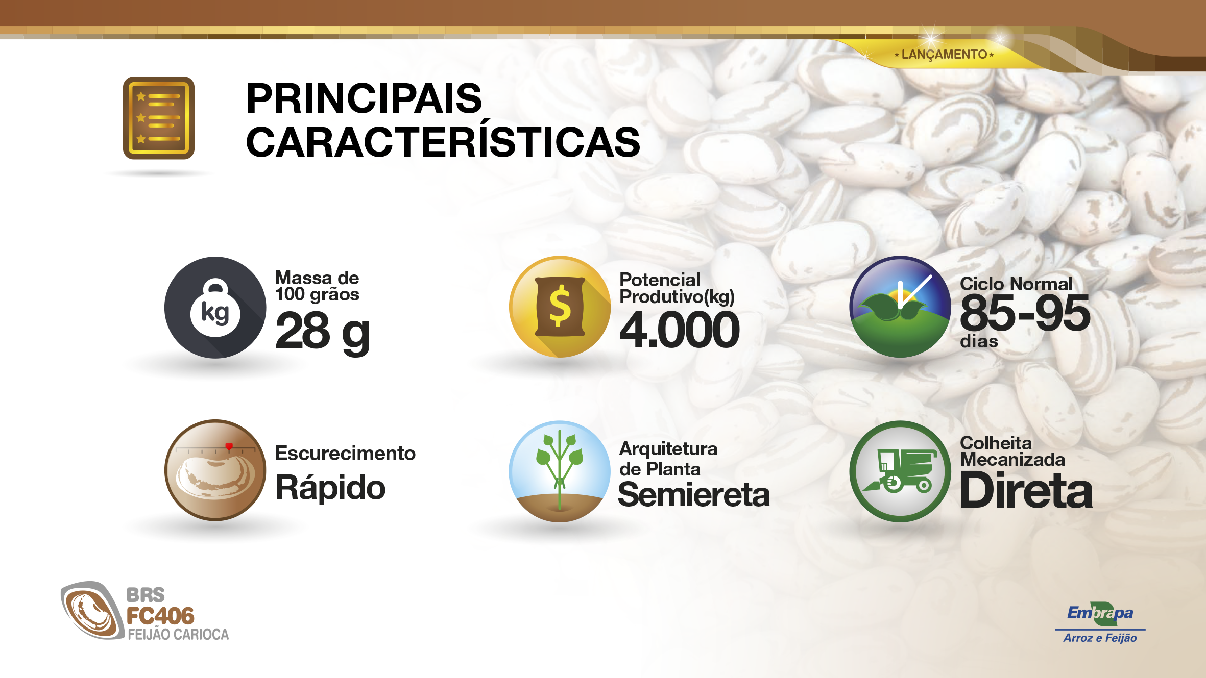 brs-fc406-caracteristica
