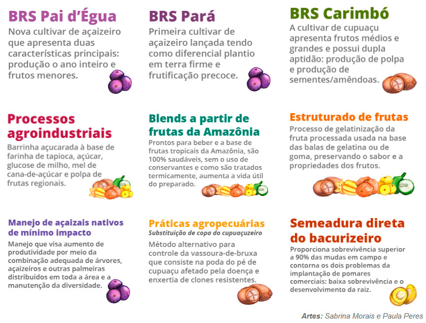 info-brs-amazonia