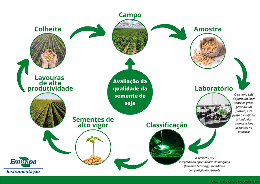 soja-laser-infografico