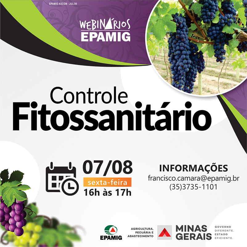 webinar-vitivinicultura