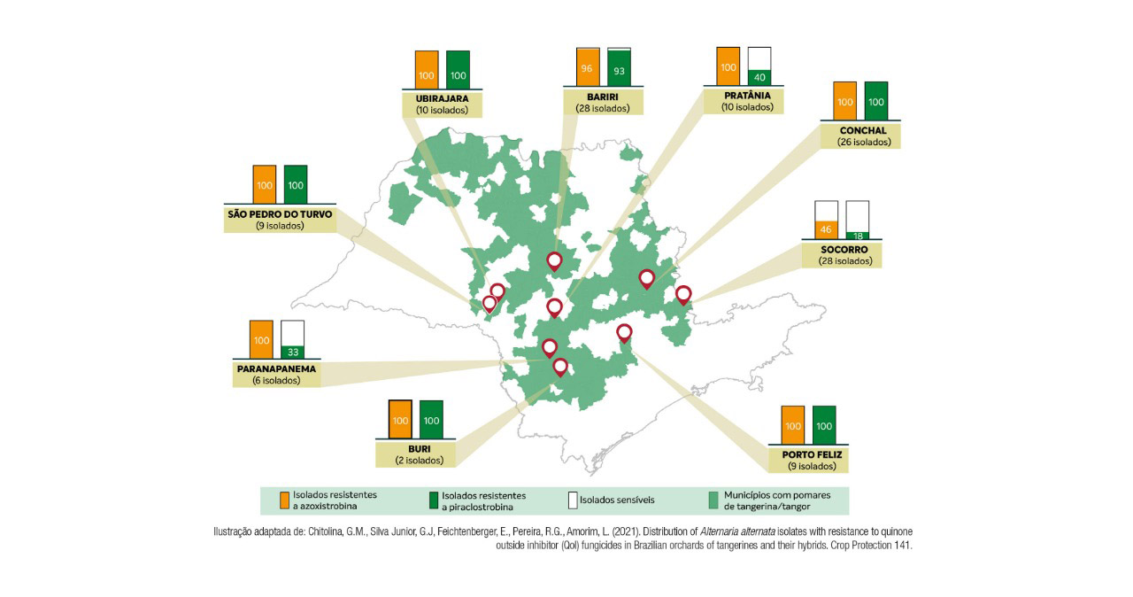 fundecitrus-infografico