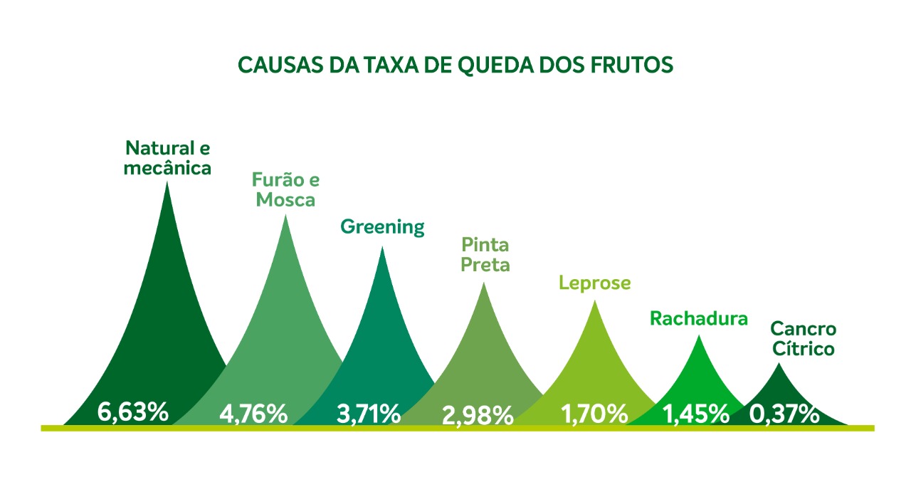 safra-de-laranja-202021-tab-1