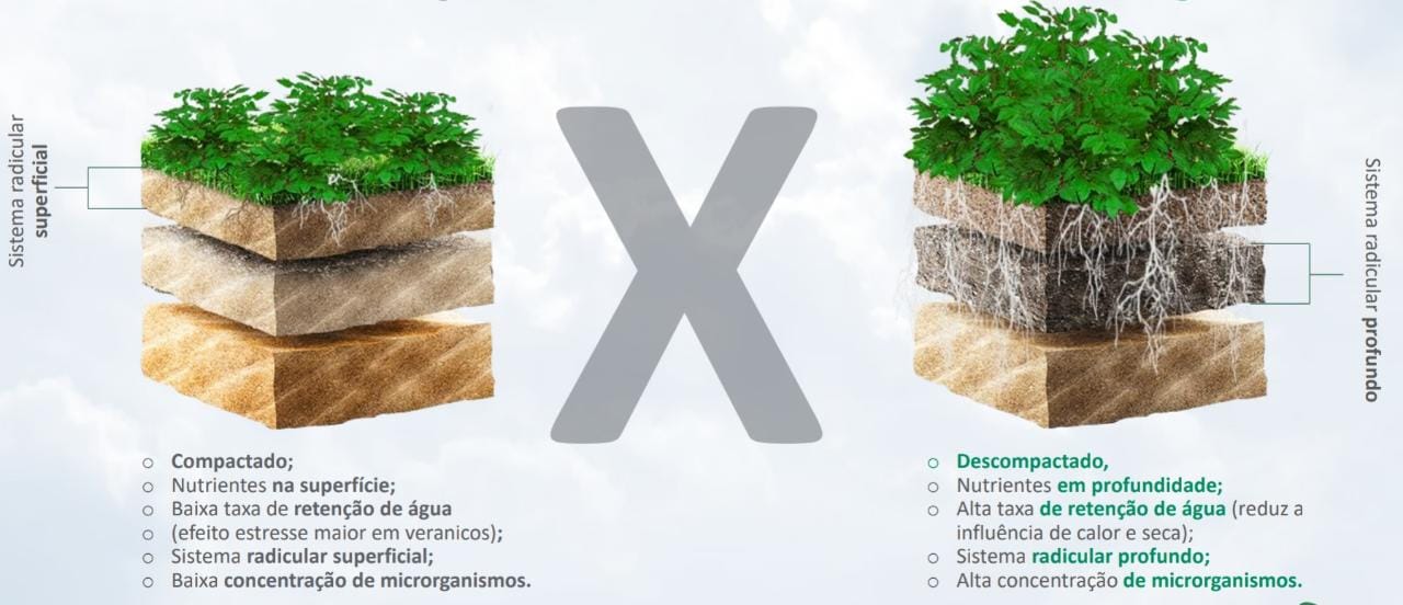 infografico-solo-soja