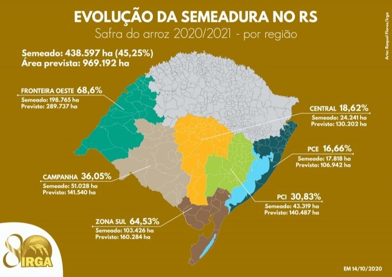 semeadura-arroz-rs