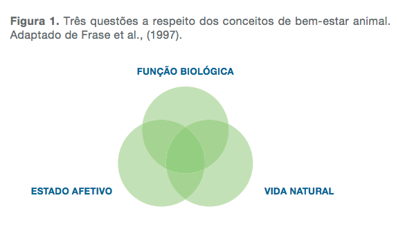 nutricop-bem-estar-graf