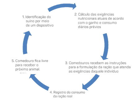 nutricao-precisao