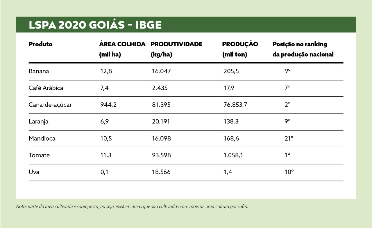 goias-tab-ibge